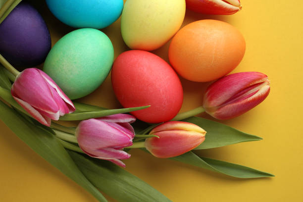 Fresh colorful tulip flowers and easter eggs on yellow background. Top view. Happy easter greeting card.