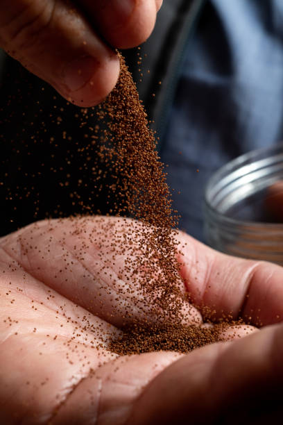 istock Tobacco seeds being poured into a man's hand. 1479864635