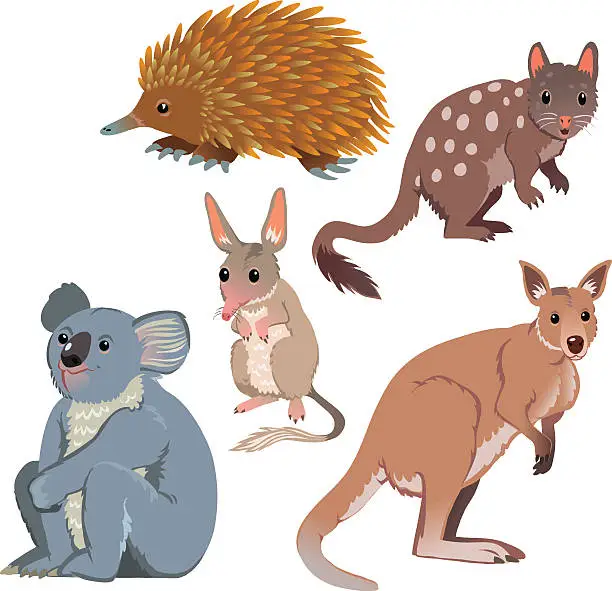 Vector illustration of Australian Animals