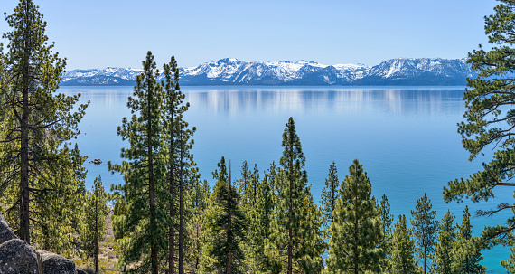 A sunny Spring day view of serene blue Lake Tahoe, surrounded by snow-capped peaks and dense pine forest, California-Nevada, USA.