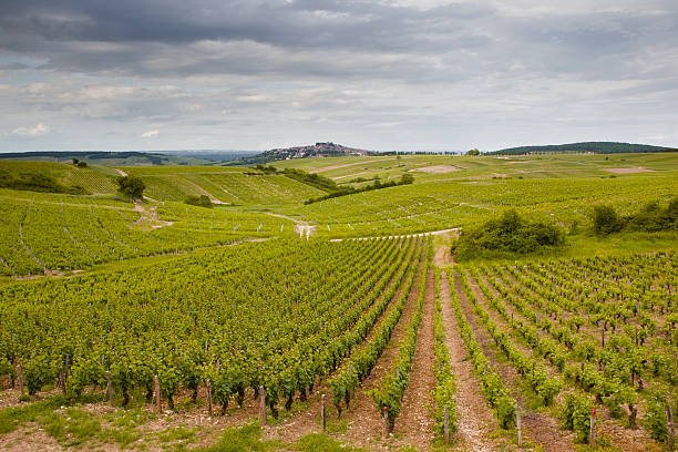 sancerre winnic - cher france village centre zdjęcia i obrazy z banku zdjęć