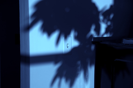 Electric power light switch in blue  light surrounded by shadows of plant. Electric power outage, blackout or power cut concept.