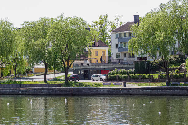 istock Trees and buildings next to river during summer 1479882107