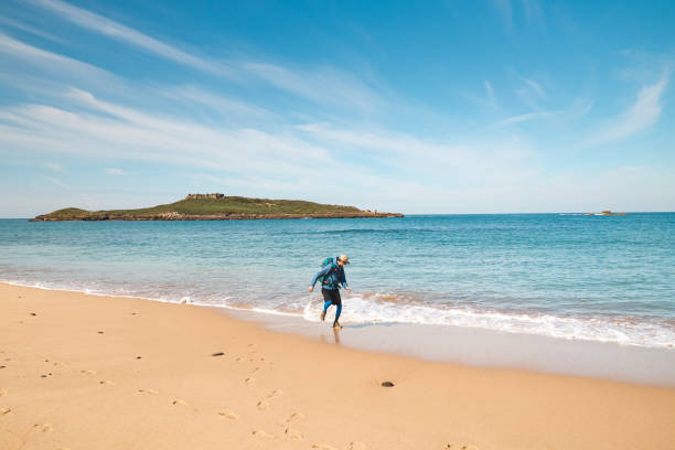 istock Young, passionate black-haired dobby runs from the waves of the Atlantic Ocean on a sandy beach near Porto Covo, Portugal. In the footsteps of Rota Vicentina 1479882228