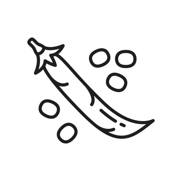 Vector illustration of Pea pod isolated legume bean food line icon