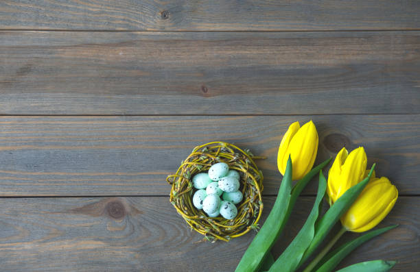 istock Easter eggs in nest and yellow tulips on wooden background. 1479888603