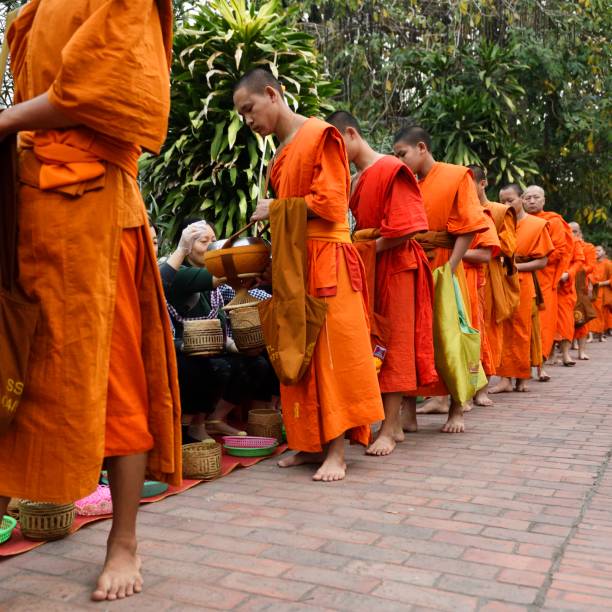 Luang Prabang, Laos.　The entire ancient city of Luang Prabang is a World Heritage Site.　Alms giving in Luang Prabang has been around for hundreds of years.Every morning, barefoot monks in saffron robes walk the streets to receive alms from local residents.Since temples in Laos do not open for cooking, the monks' daily food comes from people's alms, which is a sacred and solemn act in Lao people's mind.These are real scenes every morning, not performances.