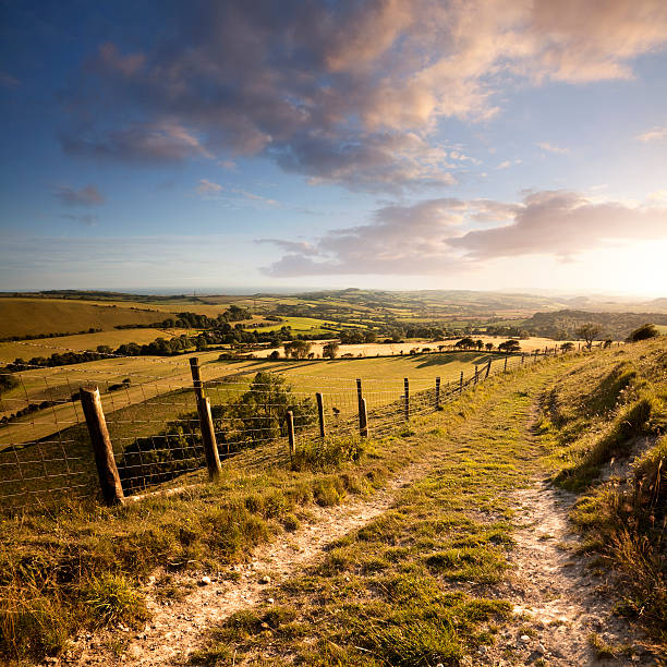 This is the view south from Eggardon Hill in Dorset.