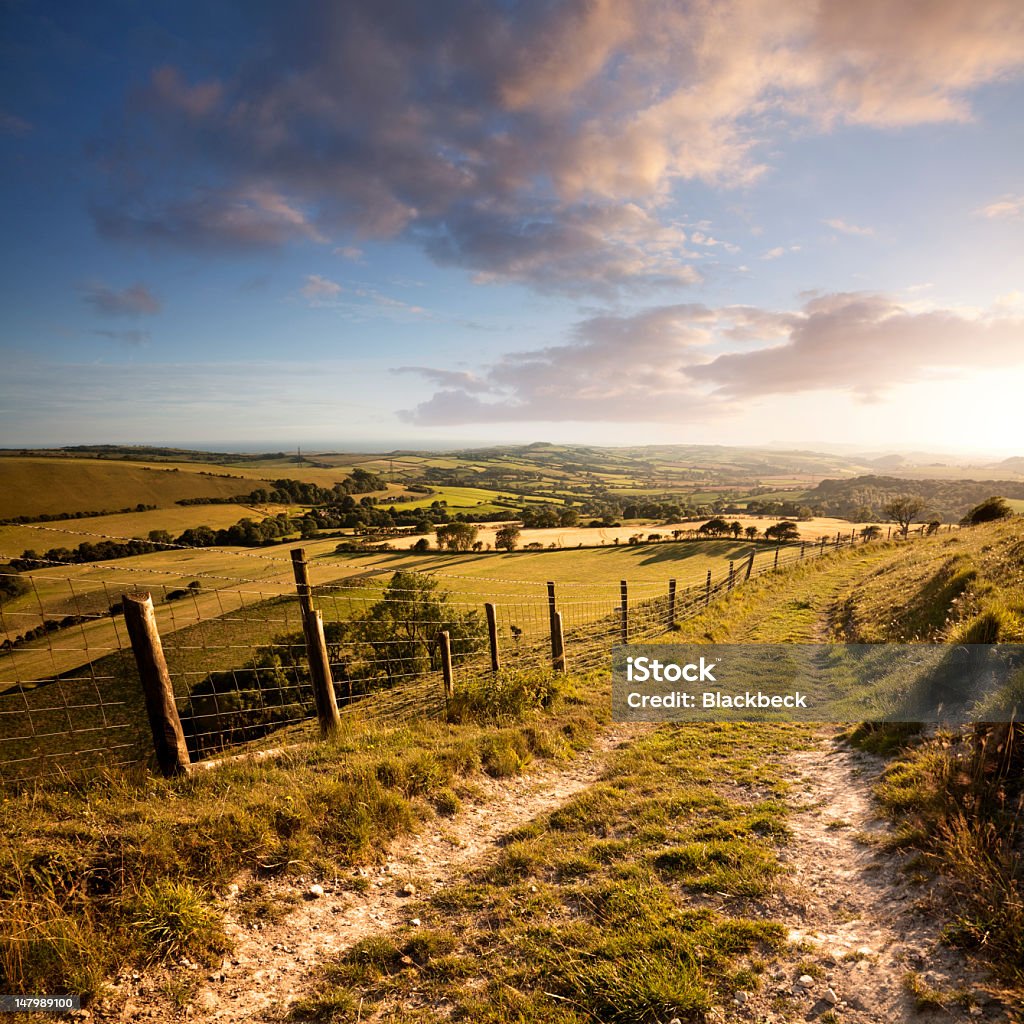 Sunset over English countryside with footpath in Dorset This is the view south from Eggardon Hill in Dorset. Footpath Stock Photo