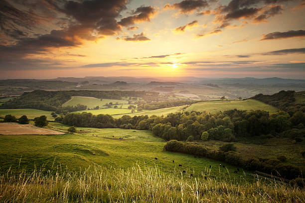 sunset over the green hills countryside in england, dorset - zuidwest engeland fotos stockfoto's en -beelden