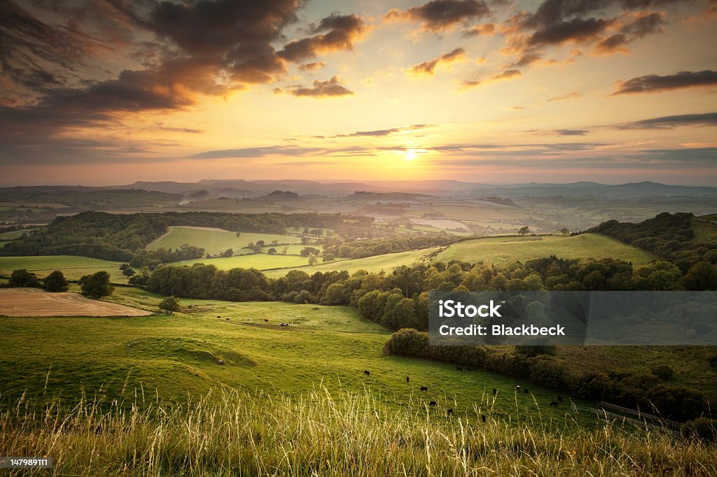 Sunset over the green hills countryside in England, Dorset This is the view west from Eggardon Hill in Dorset, at sunset Rural Scene Stock Photo