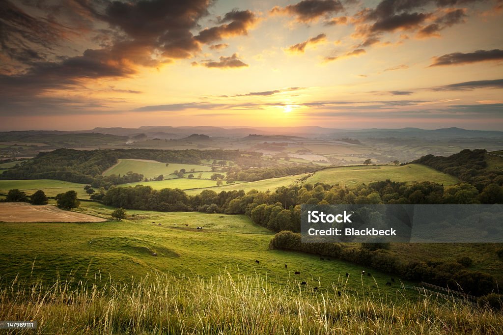 Sunset over the green hills countryside in England, Dorset - 免版稅田園風光圖庫照片