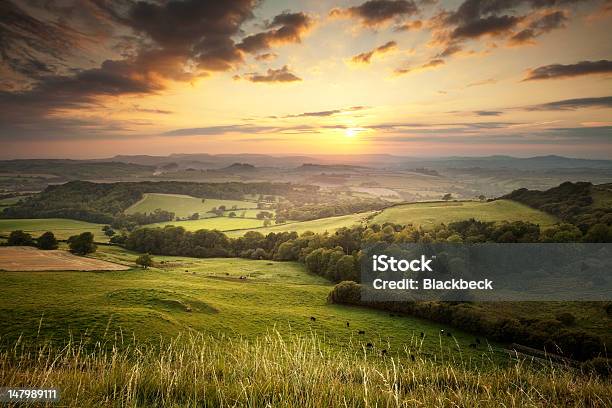 Sunset Over The Green Hills Countryside In England Dorset 照片檔及更多 田園風光 照片