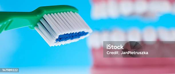 歯科ヘルスケアオブジェクト - ヒトの歯のストックフォトや画像を多数ご用意 - ヒトの歯, ヘルスケアと医療, ライフスタイル