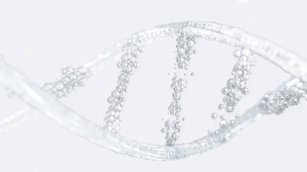 istock DNA molecule from particles. has white appearance, transparent. can be used in education, science or medicine industry background. 1479903827