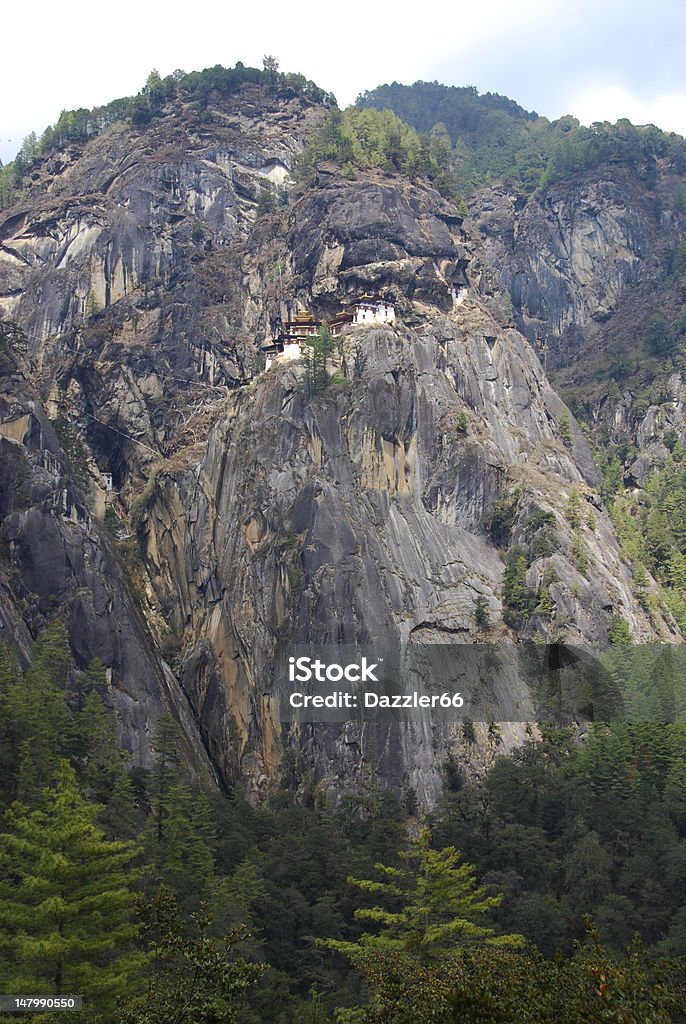 Rifugio di Taktsang - Foto stock royalty-free di Albero
