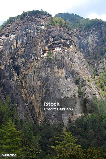 Rifugio Di Taktsang - Fotografie stock e altre immagini di Albero - Albero, Asia, Bhutan