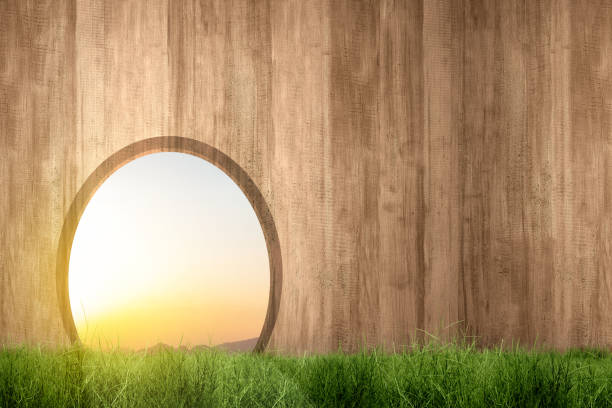 istock Green grass with a hole on a wooden fence 1479914246