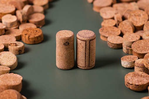 Recycling symbol and wine cork for secondary use. Preservation of the ecology of the planet. Raw materials for reuse. Environmental Protection.