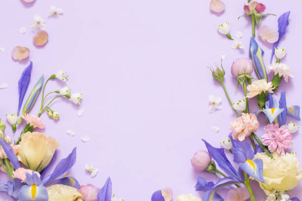 istock beautiful spring flowers on paper background 1479917363