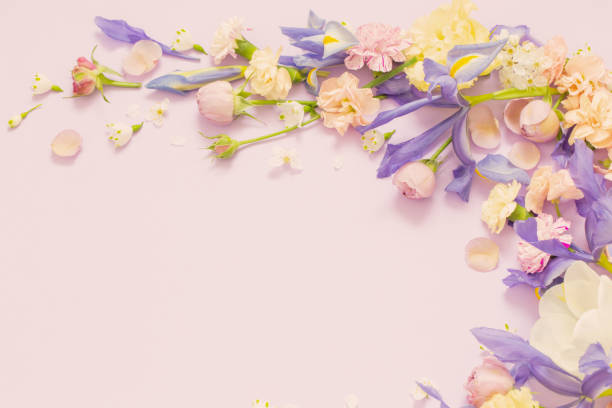 istock beautiful spring flowers on paper background 1479917364