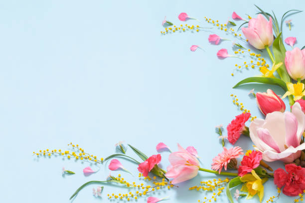 istock beautiful spring flowers on blue background 1479917373