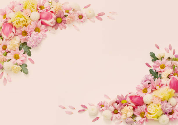 istock frame of flowers on white background 1479917380