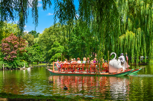 Boston, Massachusetts, New England, USA - August 20, 2012. The Boston Public Garden is a large park in downtown Boston adjacent to the Boston Common. The Swan Boats began operating in 1877 and are a popular tourist attraction in the park.