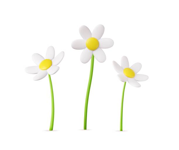 ilustrações, clipart, desenhos animados e ícones de 3d flor margarida colorida - flower head bouquet daisy petal