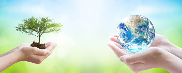istock world environment and earth day, Two human hands holding big tree and earth globe over green and blue sky nature background. Elements of this image furnished by NASA 1479940466