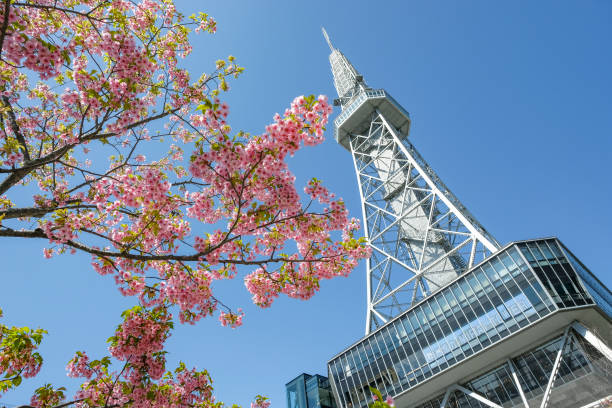 Cerisiers en fleurs à Nagoya, Japon - Photo