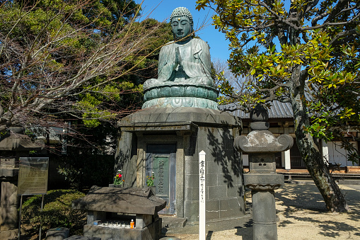 Tokyo, Japan - March 3, 2023: Bronze Buddha statue constructed in 1690 by Ota Kyuemon known as Tennoji Daibutsu at Tennoji Temple in Yanaka, Tokyo, Japan.