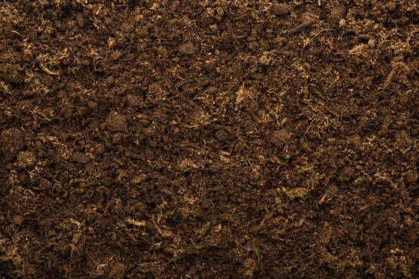 istock Dark brown soil background. Fresh ground preparation for garden season. Empty place for text. Top down view. 1479943002