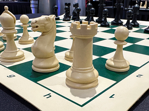 Stock photo showing close-up view of black and white soap stone carved chess pieces on a green and white checkered chessboard.