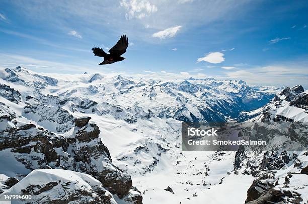 Panoramic View Of Urner Alps Stock Photo - Download Image Now - Bird, Switzerland, Mountain