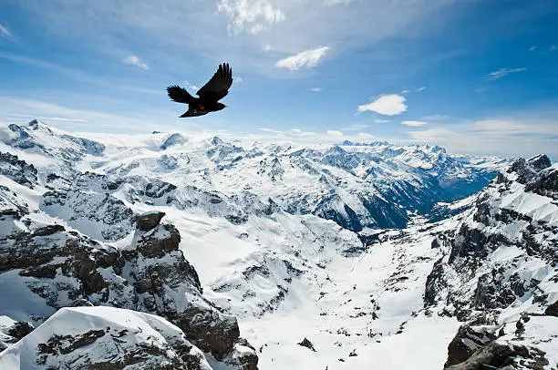 Urner Alps, view from top of Titlis mountain in Engelberg, Obwalden, Switzerland