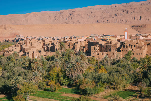 istock High angle view Desert Oasis in Tinghir, Morocco , North Africa 1479951465