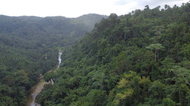 istock Aerial view of tropical mountains. 1479952382