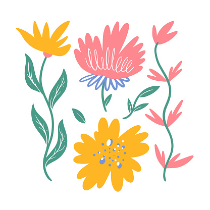 colorful cartoon style flowers set and botanic plant vector art illustration.