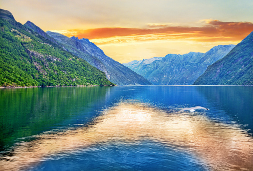 The Geirangerfjorden is a 15km long branch off of the Sunnylvsfjorden, which is a branch off of the Storfjorden (Great Fjord). Composite photo, UNESCO World Heritage Site