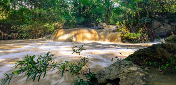 paysage naturel d’inondation éclair en cascade par de fortes pluies précédentes en thaïlande. - tropical rain forest flash photos et images de collection