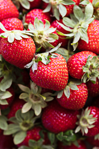 An abundance of strawberries.