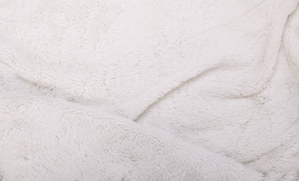 istock White faux fur texture background fragment 1479961479