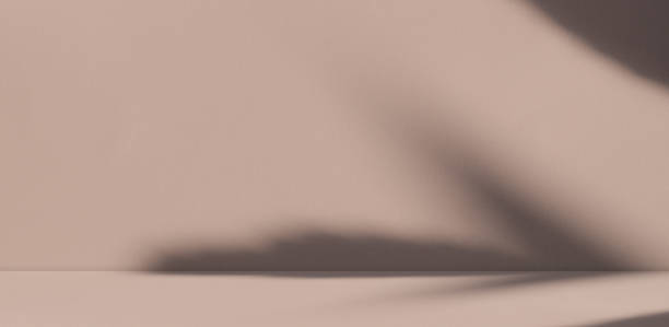 Loft Product Summer Studio Room Background,Peach Shadow Leaves on Podium Pland Cement Concrete Backdrop,Light Overlay from Window House Floor Wall Table Kitchen Counter Bar Desk Shelf Template. producto de loft estudio de verano fondo de la habitación, hojas de sombra de melocotón en el podio fondo de hormigón de cemento de pland del podio, superposición de luz de la ventana casa piso mesa de pared barra de mostrador de cocina plantilla de es
