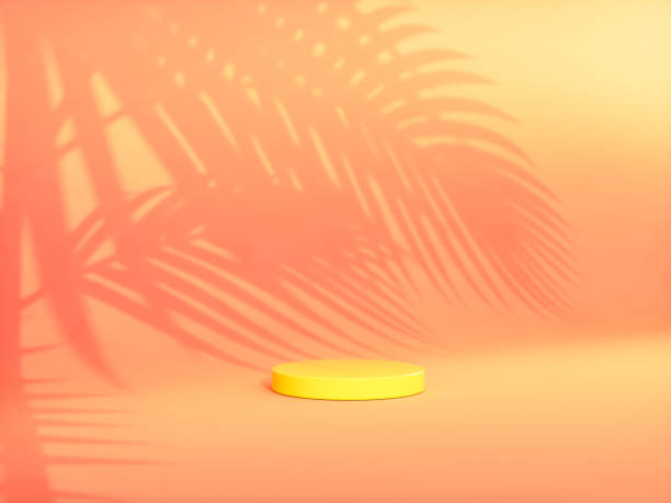 istock Summer podium backdrop for product display with tropical palm leaf shadow. 1479965773