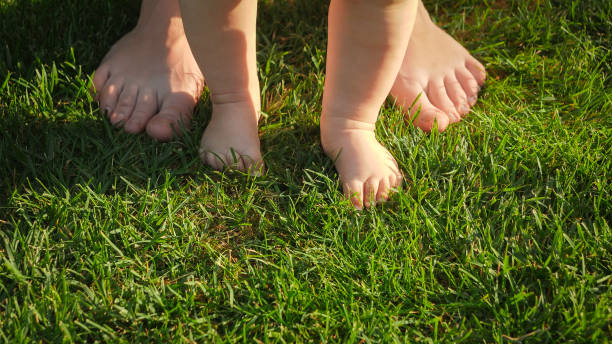 180+ Baby Standing Barefoot On The Grass Stock Photos, Pictures ...