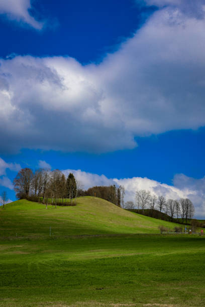 istock wonderful nature in Austria 1479978559