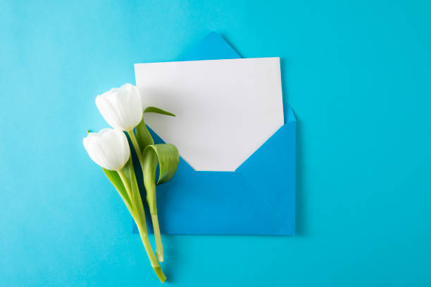 istock Tulips with White Greeting Card in Blue Envelope 1479979422