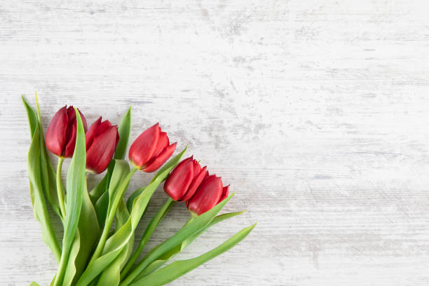 istock Beautiful Tulips on Wooden Background 1479979466