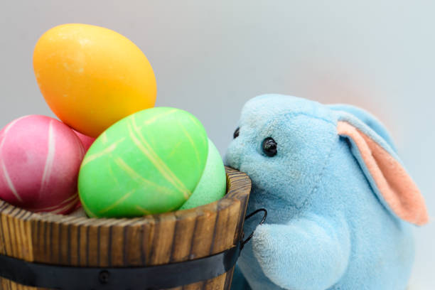 Bunny looking  at Colorful Easter eggs in  samll wooden barrel in grey background